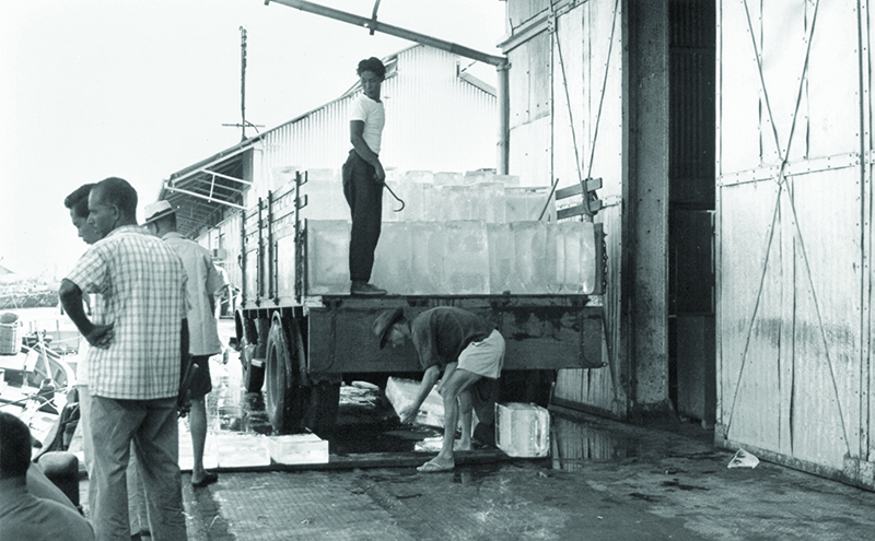 Image alt text